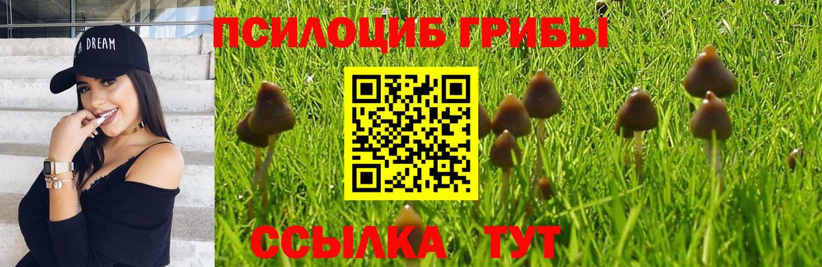 Галлюциногенные грибы Magic Shrooms  Вход с VPN  Галлюциногенные грибы GOLDEN TEACHER  Воткинск 